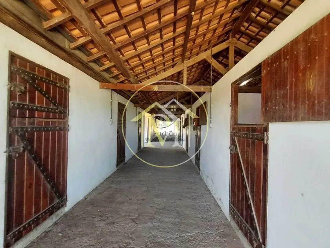 Fazenda, 126 hectares - Foto 24