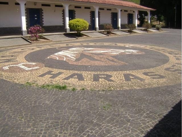 Foto do Fazenda - Fazenda à venda 1742400M², Canaã, Jambeiro - SP | ZUCATO IMOBILIARIA LTDA