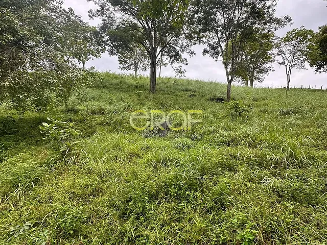 Fazenda à venda, no bairro ZONA RURAL em Formosa