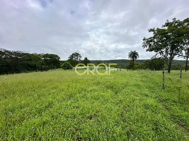 Fazenda à venda, no bairro ZONA RURAL em Formosa