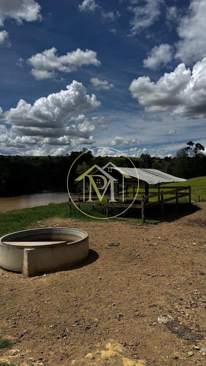 Fazenda, 97 hectares - Foto 8