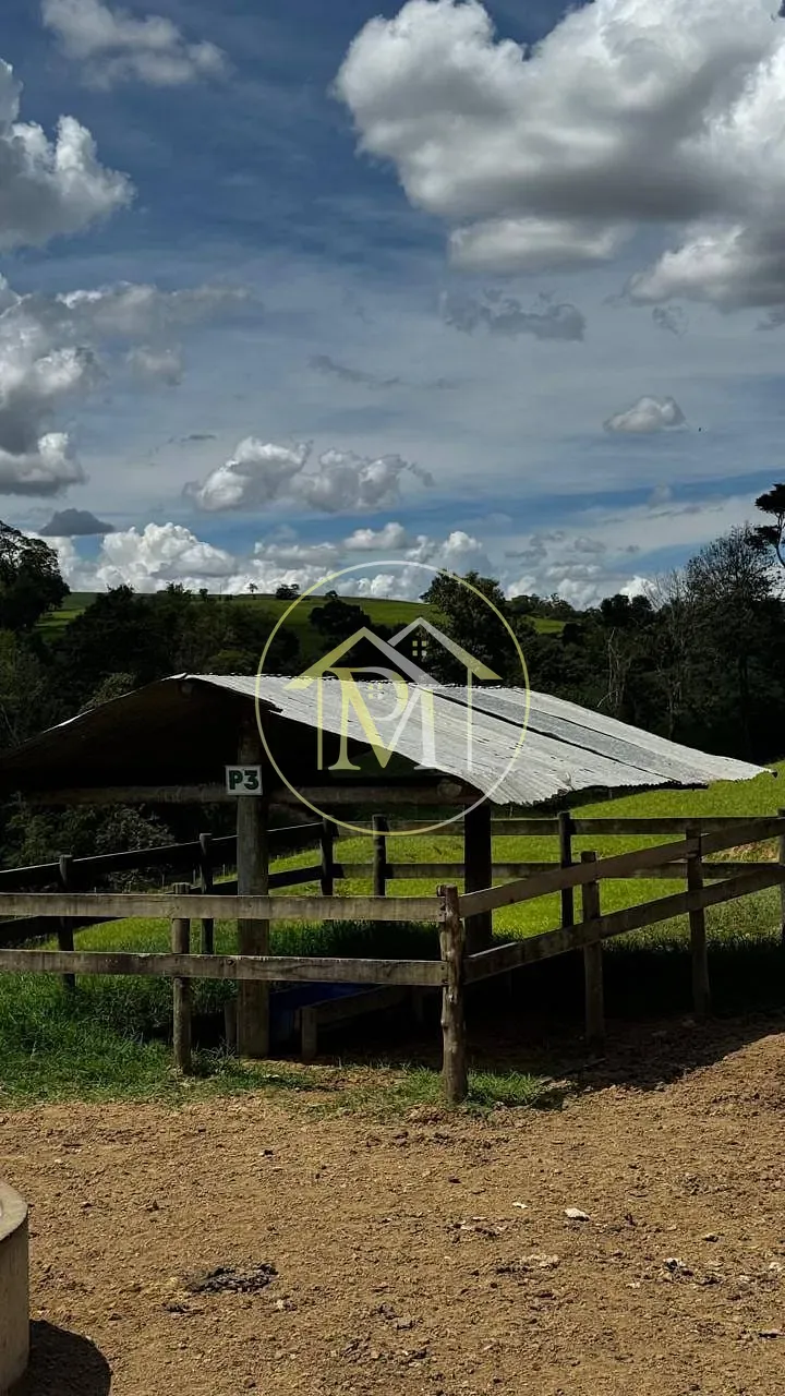 Fazenda, 97 hectares - Foto 14