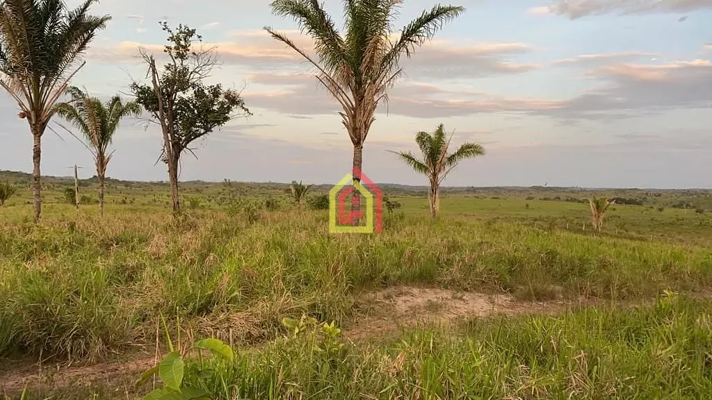 Fazenda em Goianésia do Pará/Pará — Ref FA0035_JKNB — Imagem 6