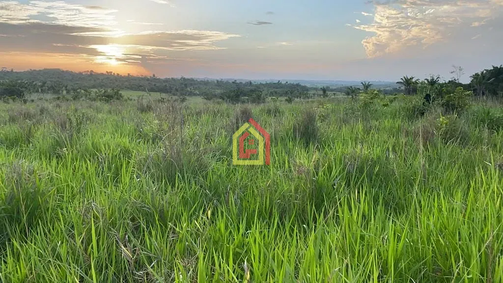 Fazenda em Goianésia do Pará/Pará — Ref FA0035_JKNB — Imagem 7