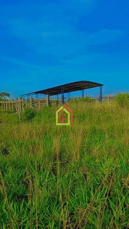 Fazenda em Goianésia do Pará/Pará — Ref FA0035_JKNB — Imagem 3