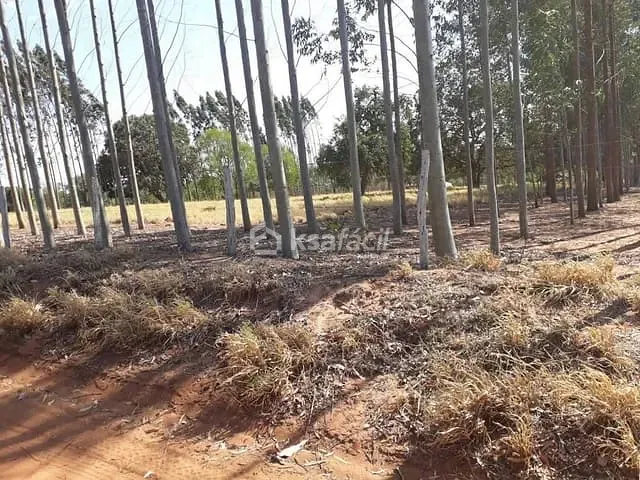 Fazenda com 60000m² 2 quartos e 1 banheiro, à venda, no bairro Vila Belo Horizonte em Campo Grande
