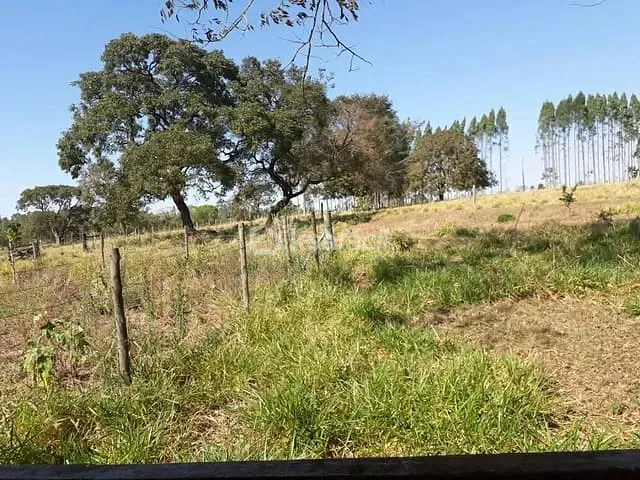 Fazenda com 60000m² 2 quartos e 1 banheiro, à venda, no bairro Vila Belo Horizonte em Campo Grande