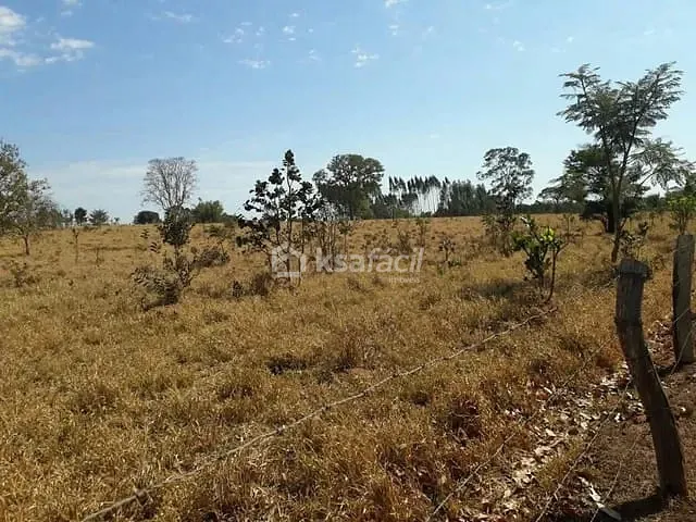 Fazenda com 60000m² 2 quartos e 1 banheiro, à venda, no bairro Vila Belo Horizonte em Campo Grande