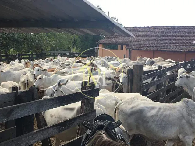 Fazenda com 1258400m² 2 quartos e 1 banheiro, à venda, no bairro Área rural de Araruama em Araruama