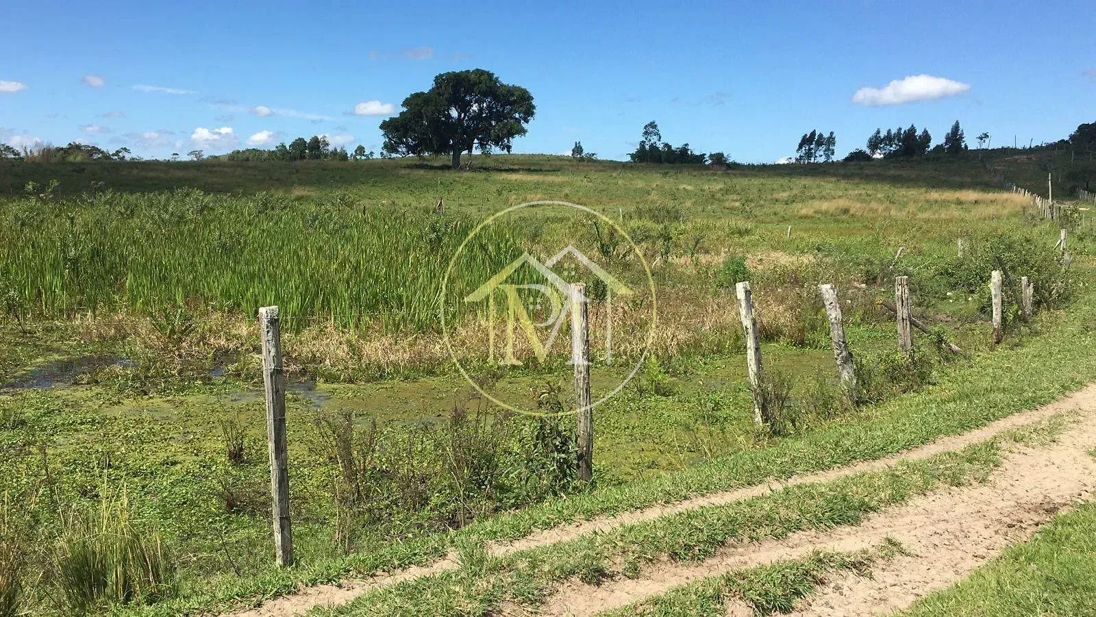 Fazenda, 126 hectares - Foto 62