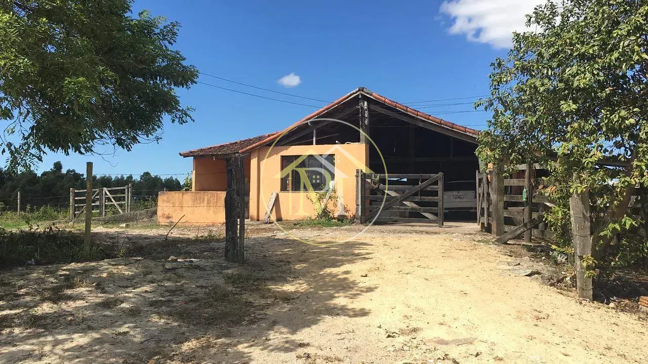 Fazenda, 126 hectares - Foto 69
