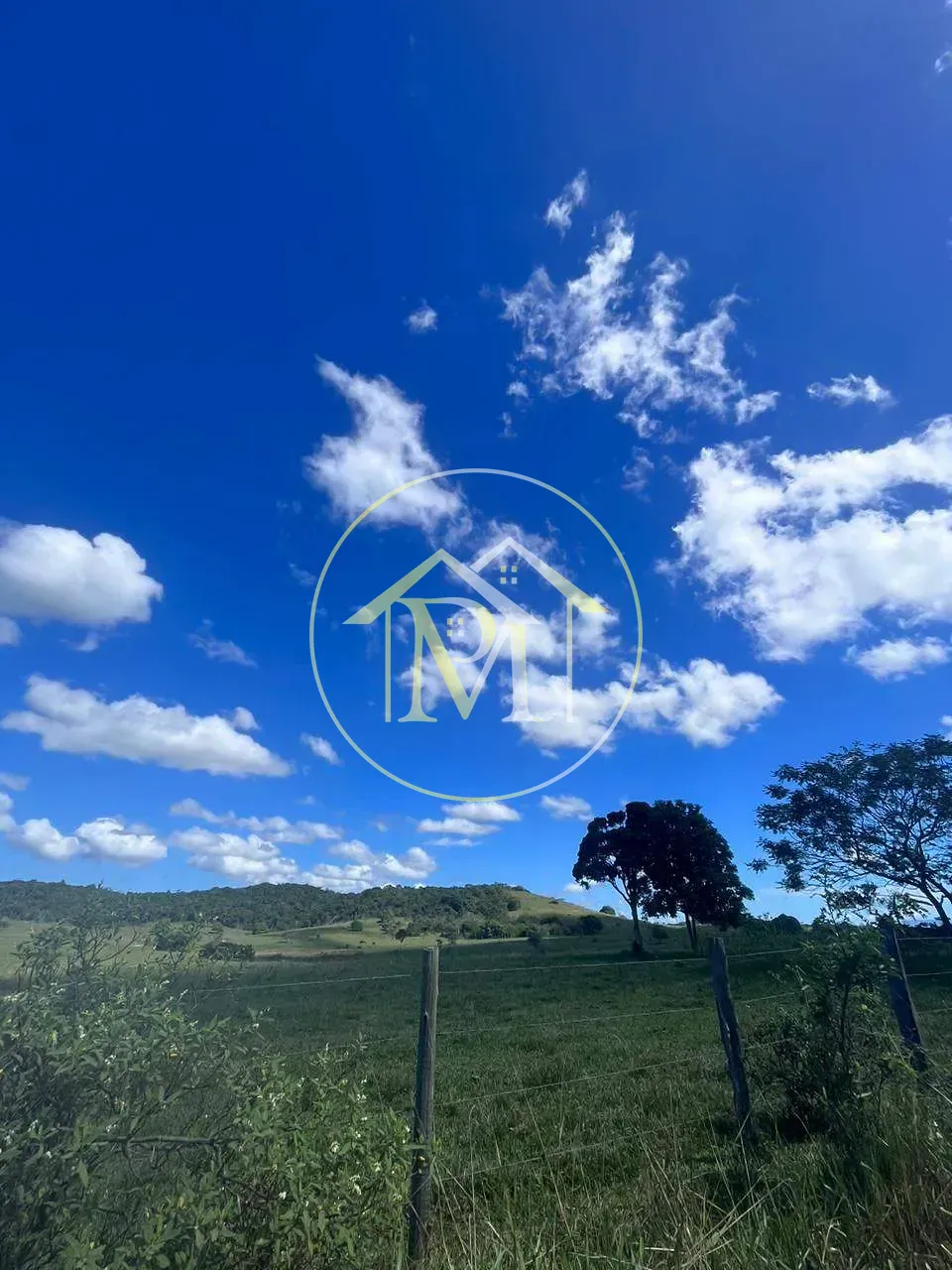 Fazenda, 126 hectares - Foto 3