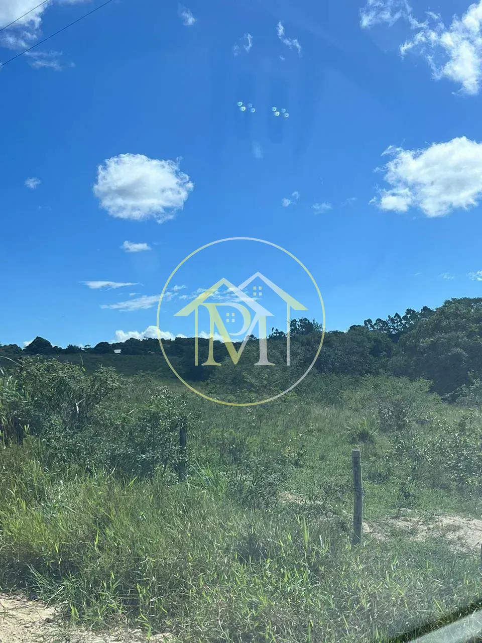 Fazenda, 126 hectares - Foto 6