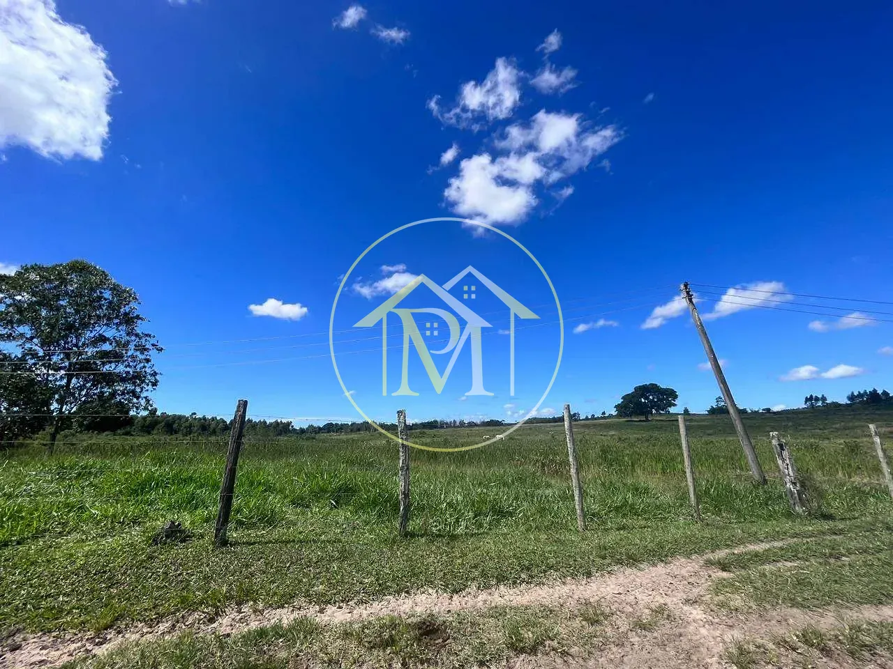 Fazenda, 126 hectares - Foto 14