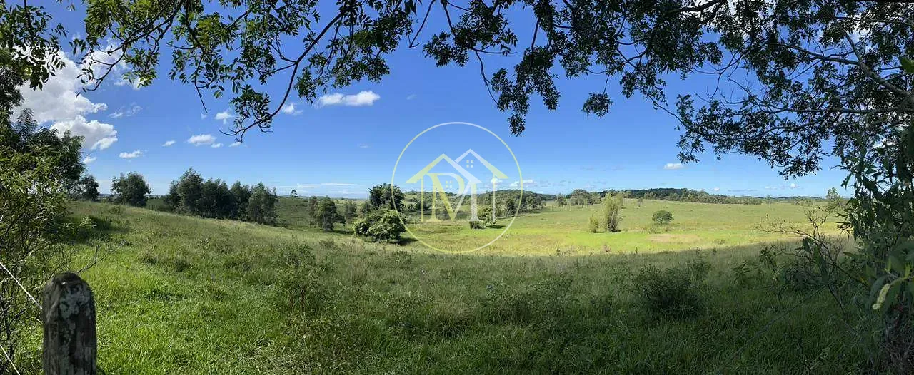 Fazenda, 126 hectares - Foto 20