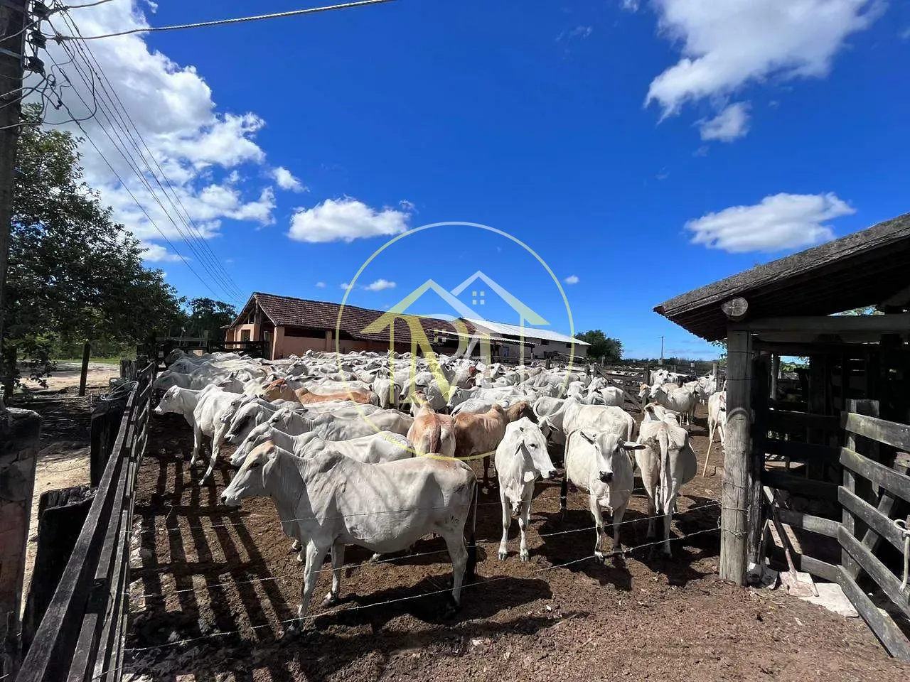 Fazenda, 126 hectares - Foto 21