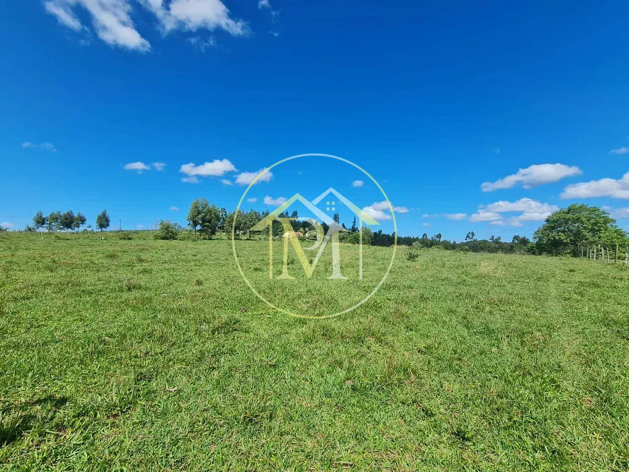 Fazenda, 126 hectares - Foto 28