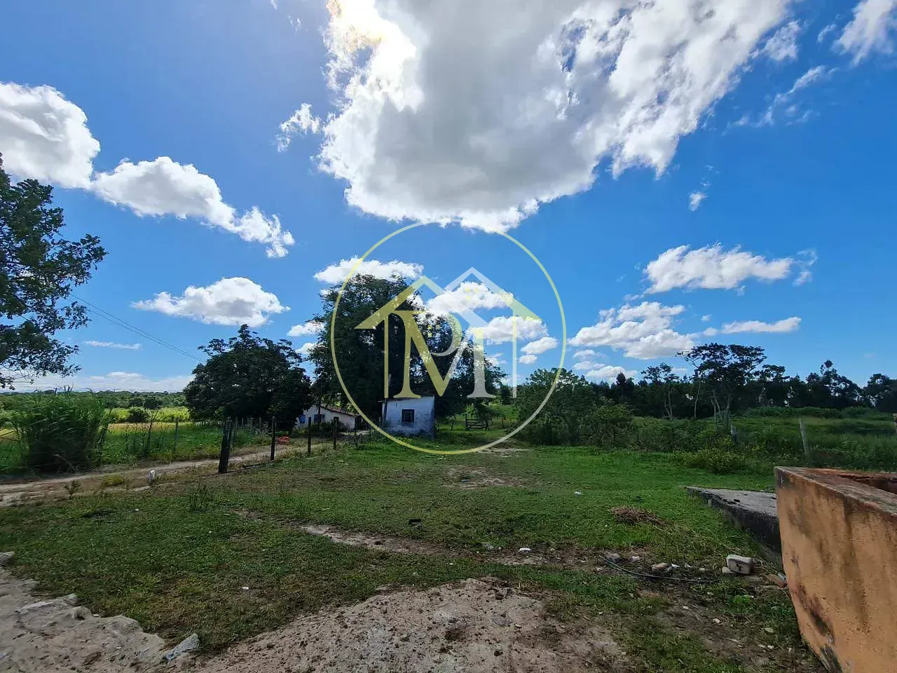 Fazenda, 126 hectares - Foto 35