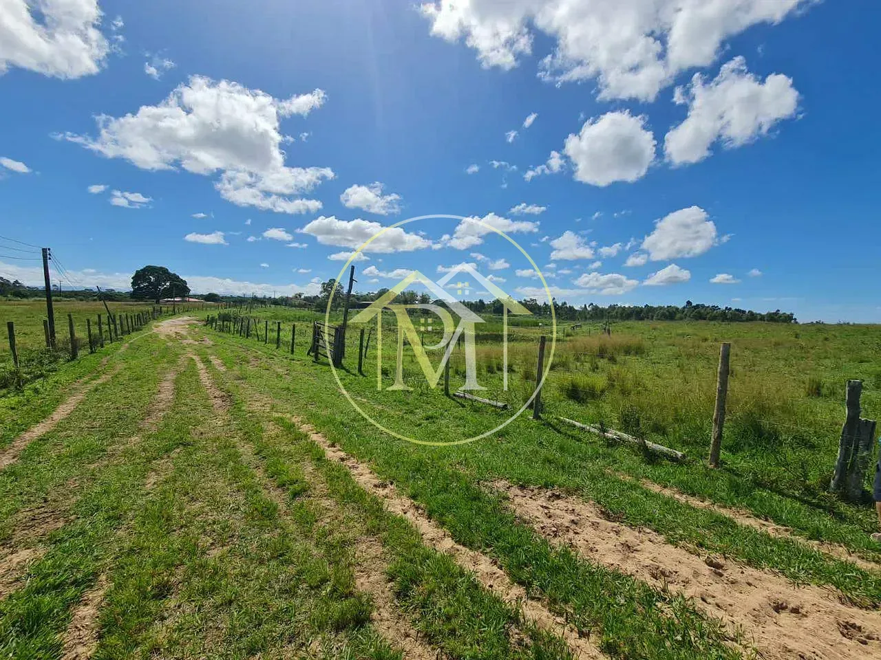 Fazenda, 126 hectares - Foto 44