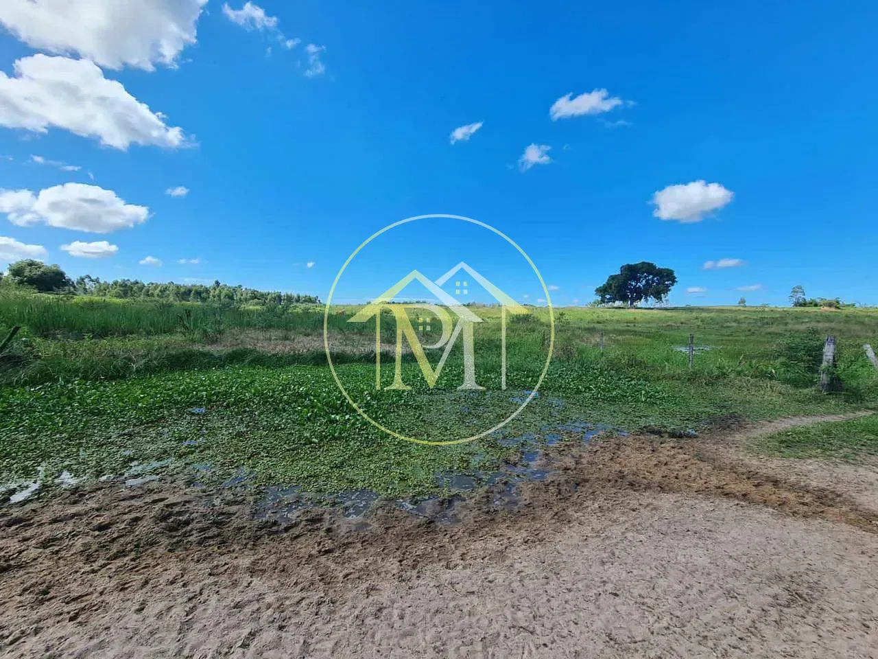 Fazenda, 126 hectares - Foto 45