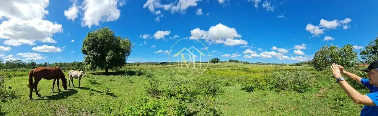 Fazenda, 126 hectares - Foto 46