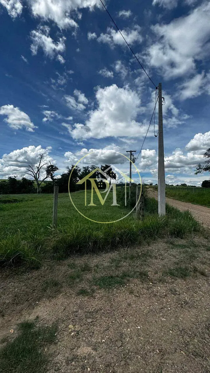 Fazenda, 97 hectares - Foto 4