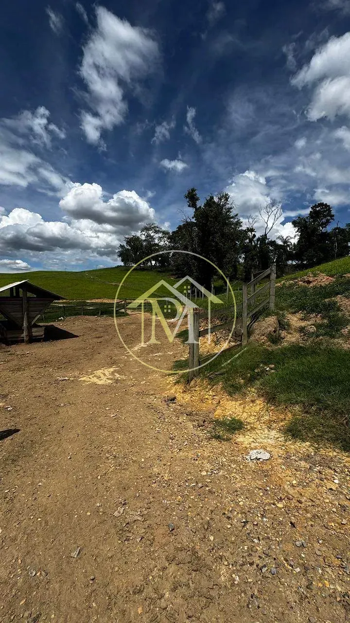 Fazenda, 97 hectares - Foto 7