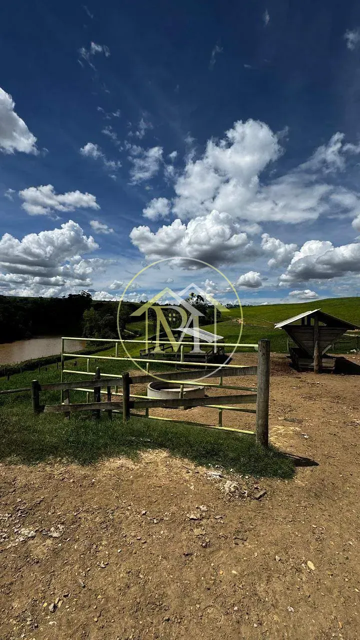 Fazenda, 97 hectares - Foto 8
