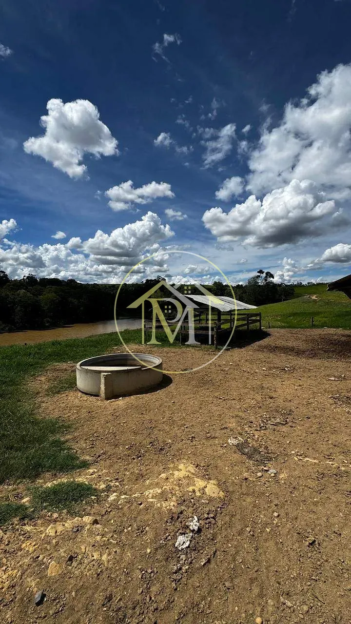 Fazenda, 97 hectares - Foto 10