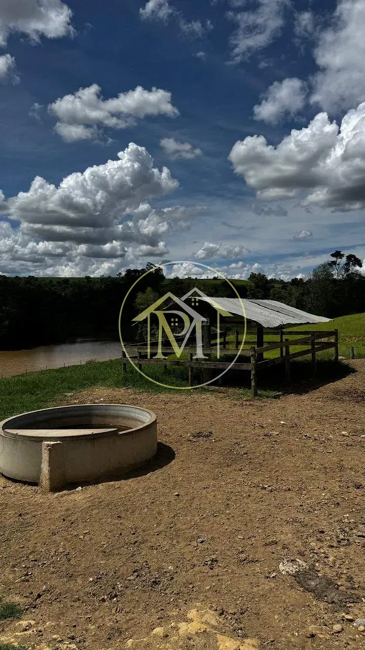 Fazenda, 97 hectares - Foto 11