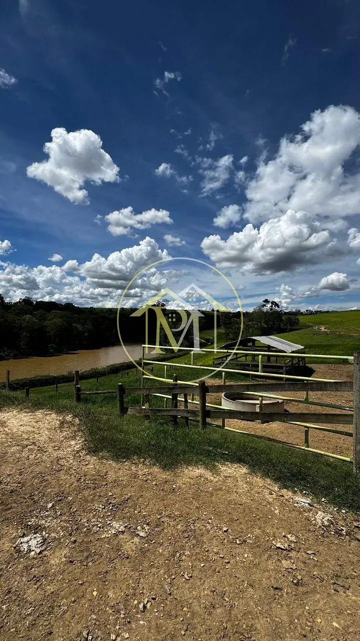 Fazenda, 97 hectares - Foto 1