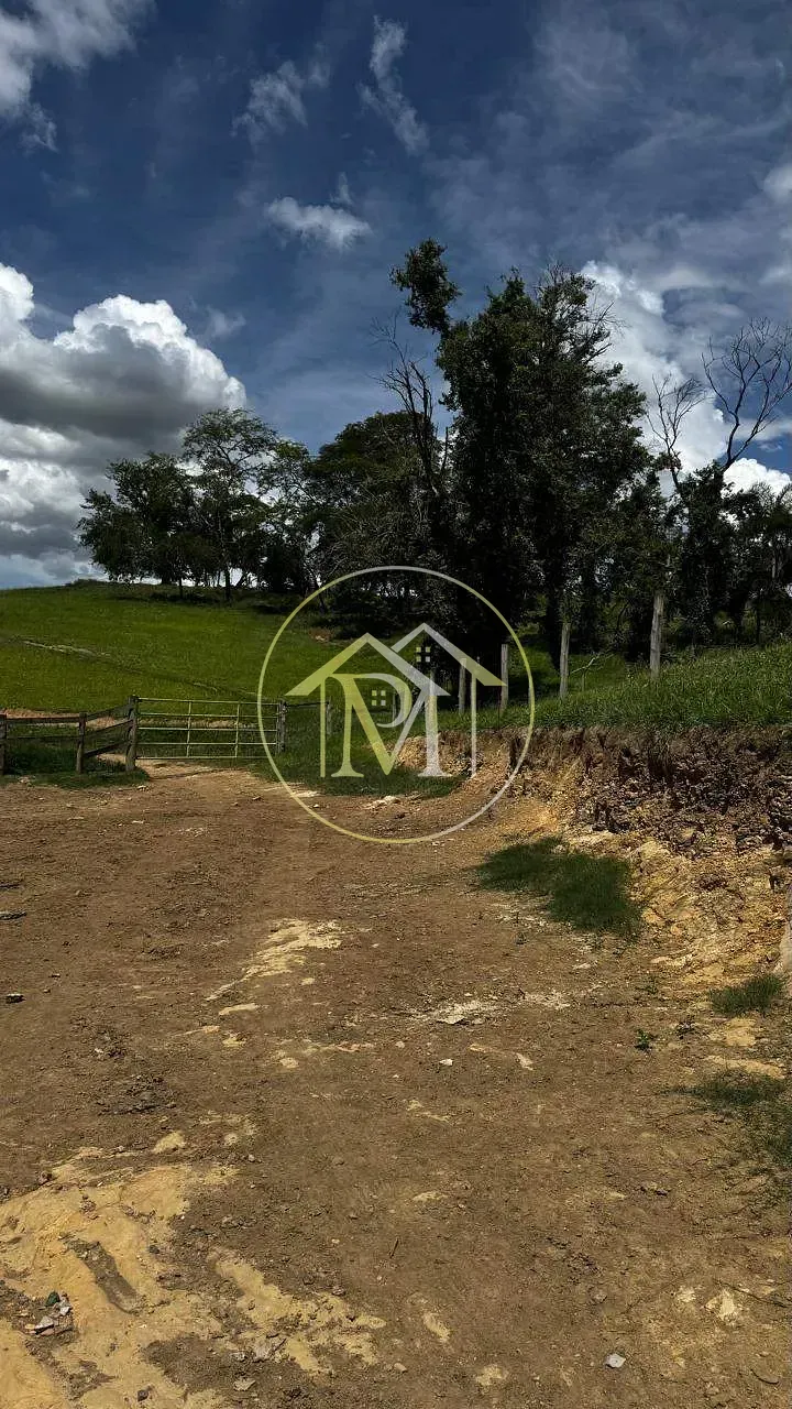 Fazenda, 97 hectares - Foto 13