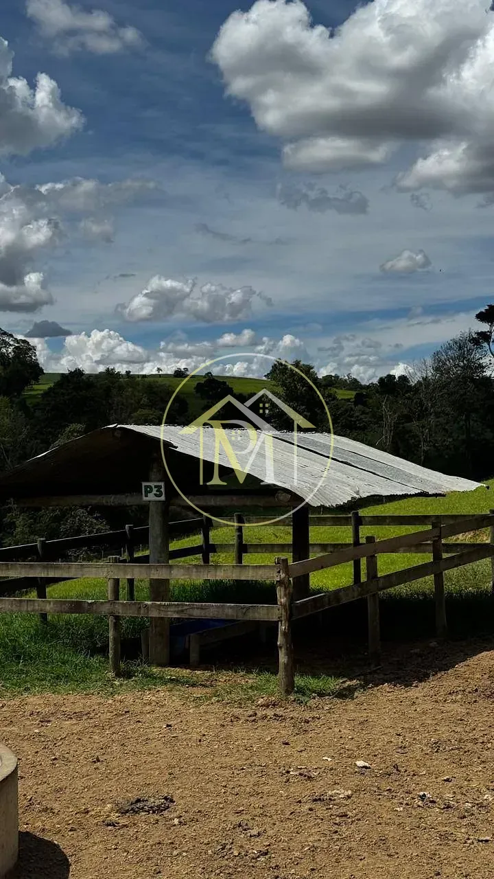 Fazenda, 97 hectares - Foto 17