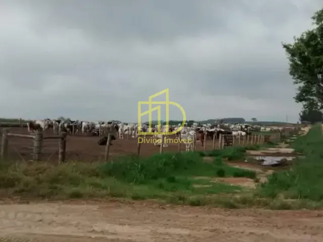 Fazenda com 14568400m², à venda, no bairro Jardim Leonel em Itapetininga