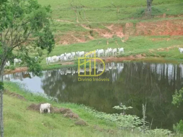 Fazenda com 14568400m², à venda, no bairro Jardim Leonel em Itapetininga