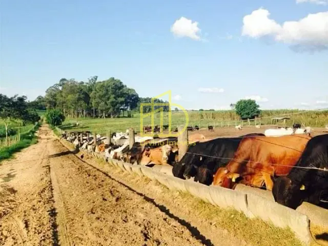 Fazenda com 14568400m², à venda, no bairro Jardim Leonel em Itapetininga