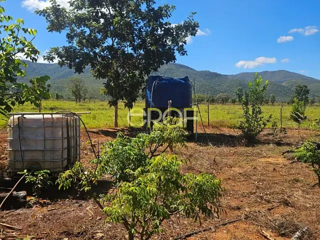 Fazenda com 210m² 3 quartos e 2 banheiros, à venda, no bairro Área Rural de Formosa em Formosa