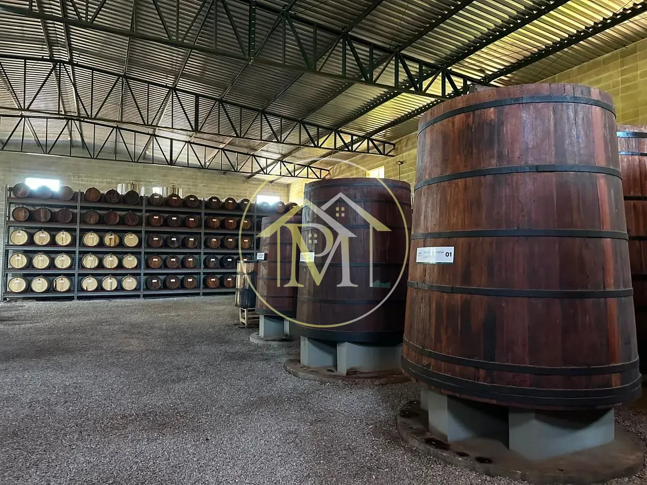 Fazenda, 204 hectares - Foto 11