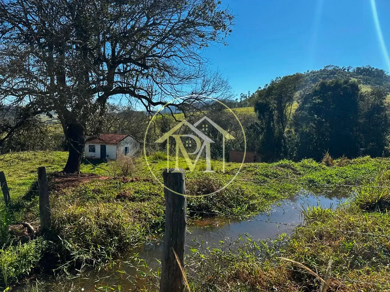 Fazenda, 204 hectares - Foto 49
