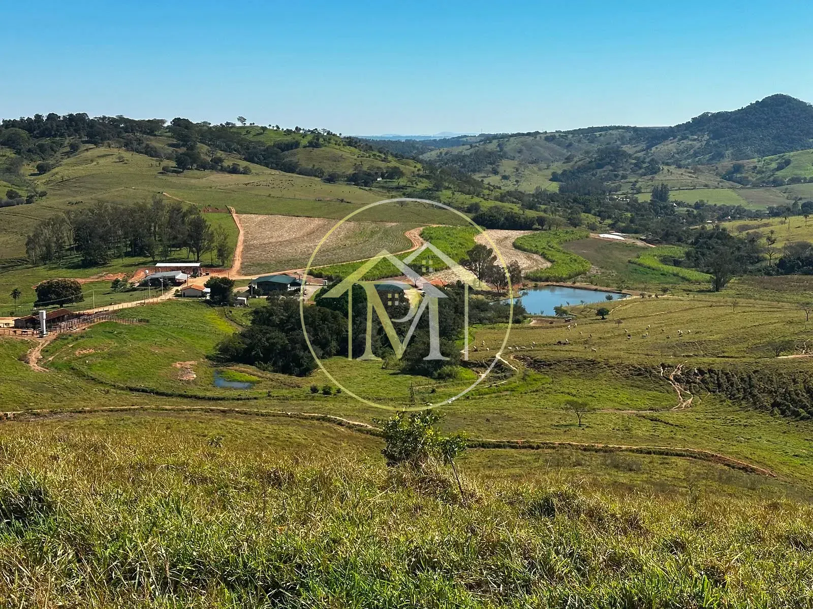 Fazenda, 204 hectares - Foto 93