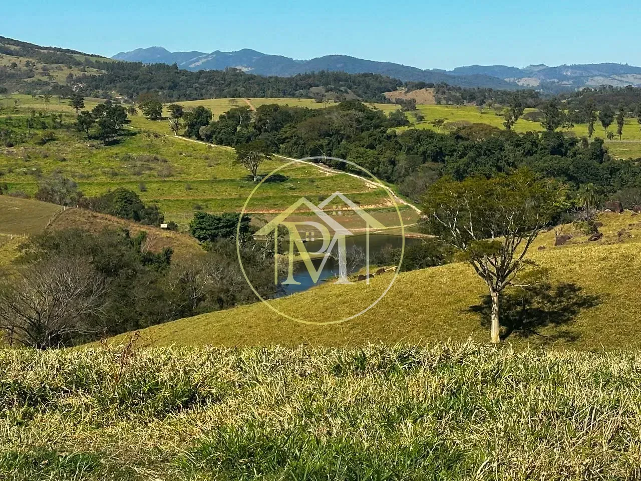 Fazenda, 204 hectares - Foto 61