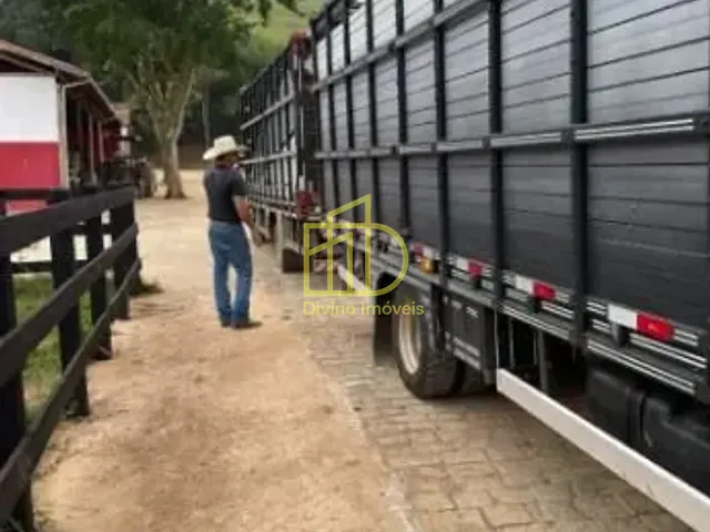 Fazenda com 7986000m², à venda, no bairro Margem Esquerda em Cachoeira Paulista