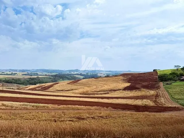 Fazenda com 750200m², à venda, no bairro Rural em Braganey