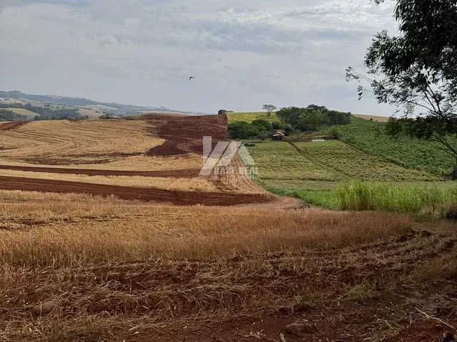 Fazenda com 750200m², à venda, no bairro Rural em Braganey