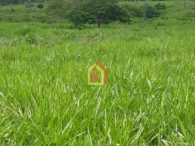 Fazenda com 1597200m², à venda, no bairro Zona Rural em São João do Araguaia