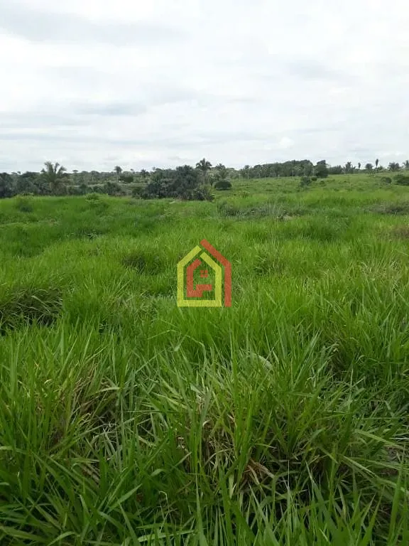 Rural à venda com 1597200m² de terreno no Zona Rural, São João do Araguaia (PA) — foto 5 de 8