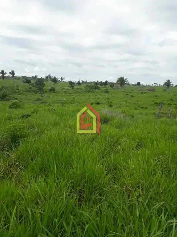 Rural à venda com 1597200m² de terreno no Zona Rural, São João do Araguaia (PA) — foto 2 de 8