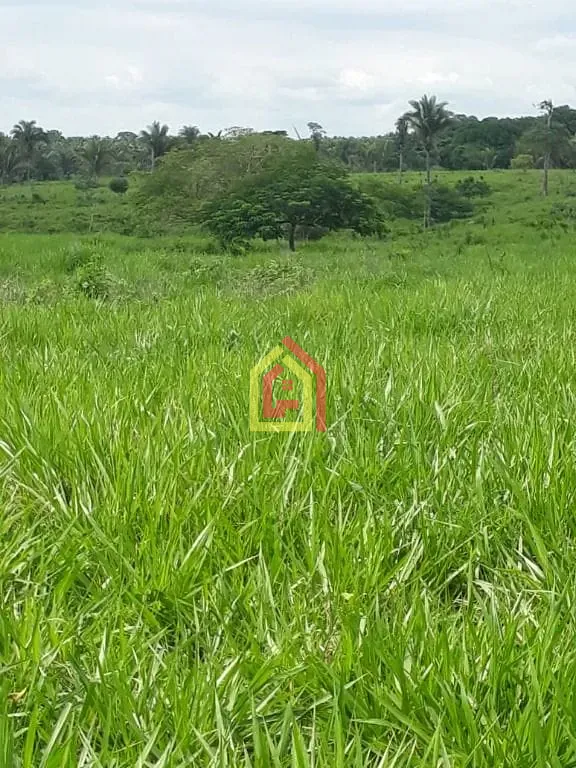 Rural à venda com 1597200m² de terreno no Zona Rural, São João do Araguaia (PA) — foto 3 de 8
