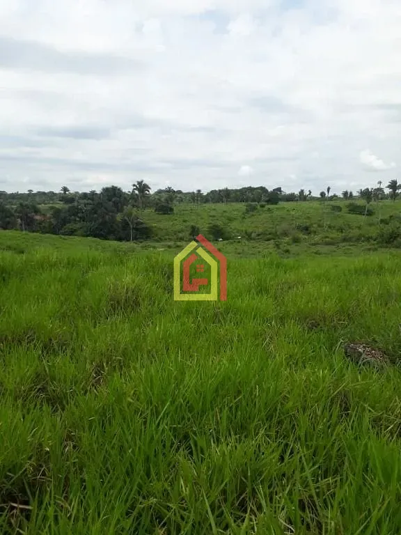 Rural à venda com 1597200m² de terreno no Zona Rural, São João do Araguaia (PA) — foto 4 de 8