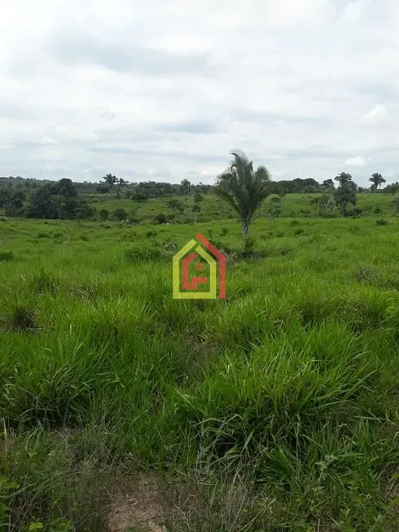 Rural à venda com 1597200m² de terreno no Zona Rural, São João do Araguaia (PA) — foto 6 de 8